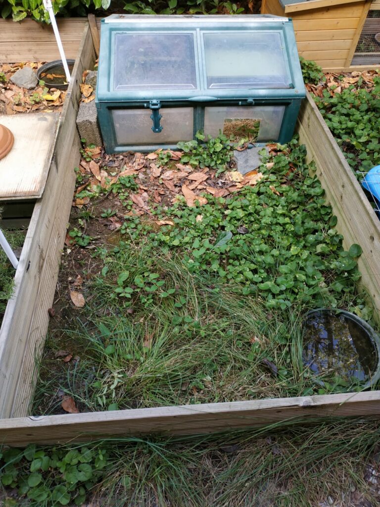 Enclos en planches de terrasse